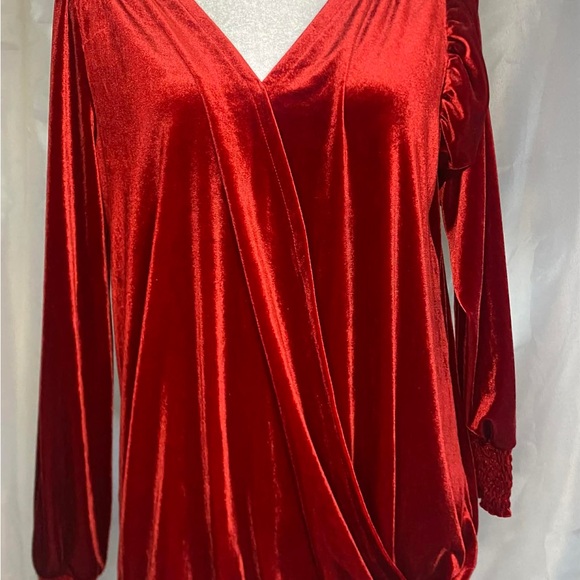 Wonderly Red Velvet Draped Surplice V-Neck Blouse - Size Medium - Picture 1 of 8